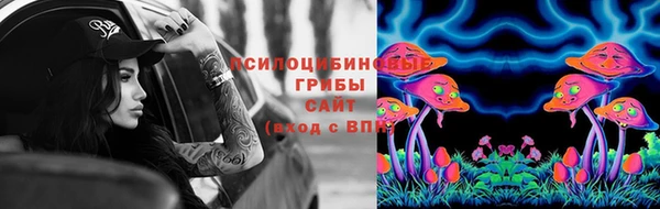 не бодяженный Алзамай