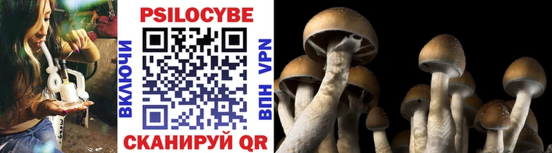 Галлюциногенные грибы мухоморы Северодвинск