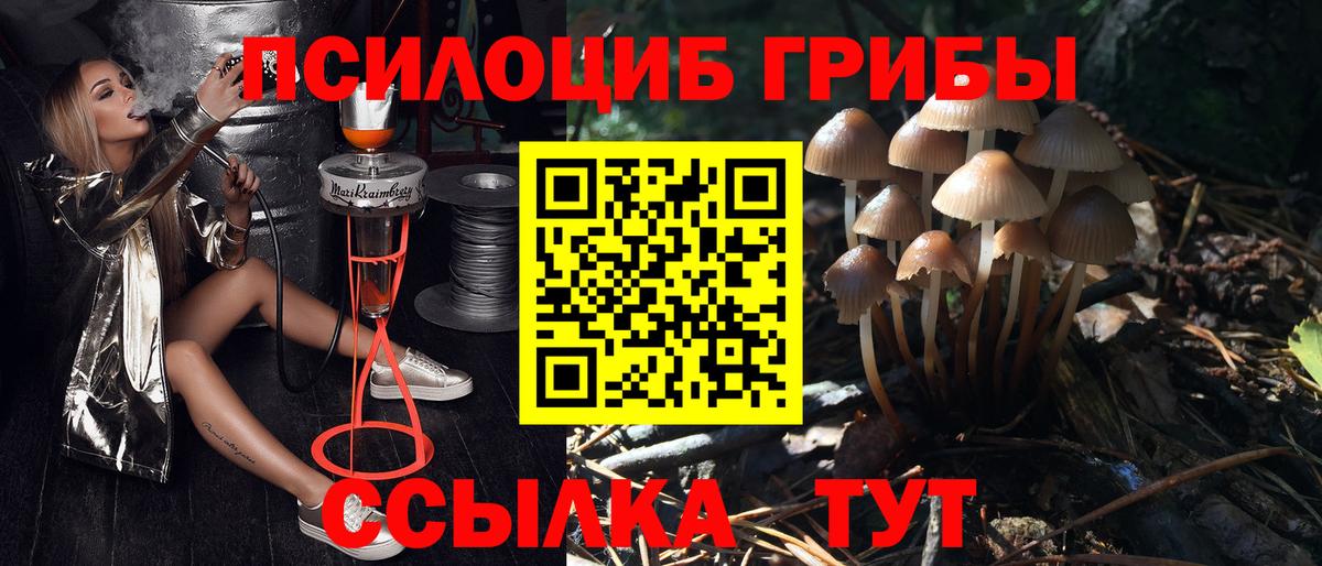 Северодвинск  цена наркотик  Вход с VPN  Галлюциногенные грибы Psilocybine cubensis 
