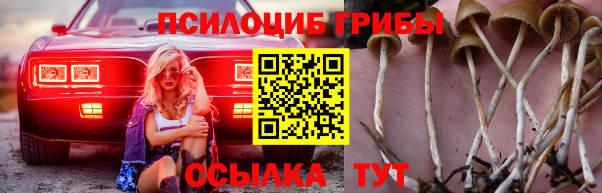 Псилоцибиновые грибы Cubensis Северодвинск